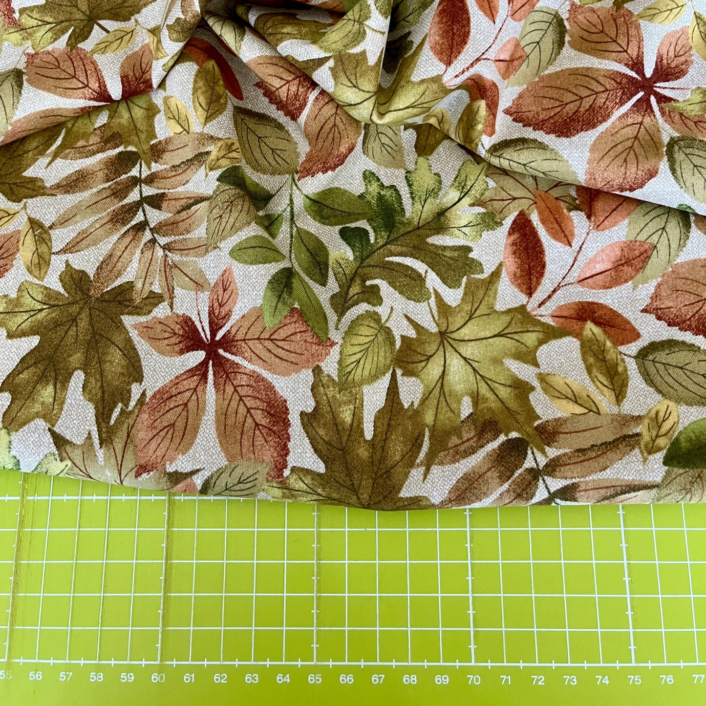 Natural Elements - Leaves