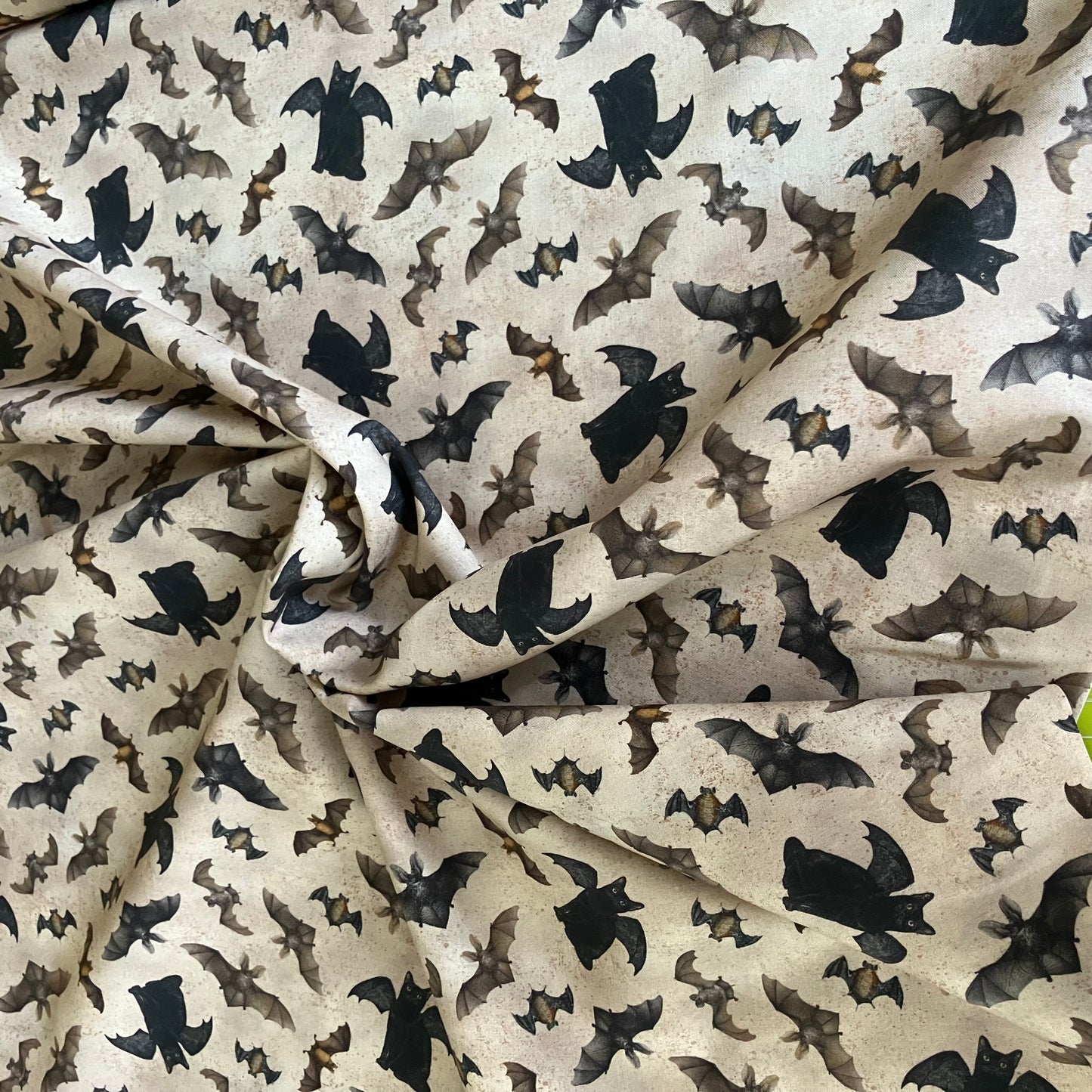 Gothic Halloween - Cats and Bats