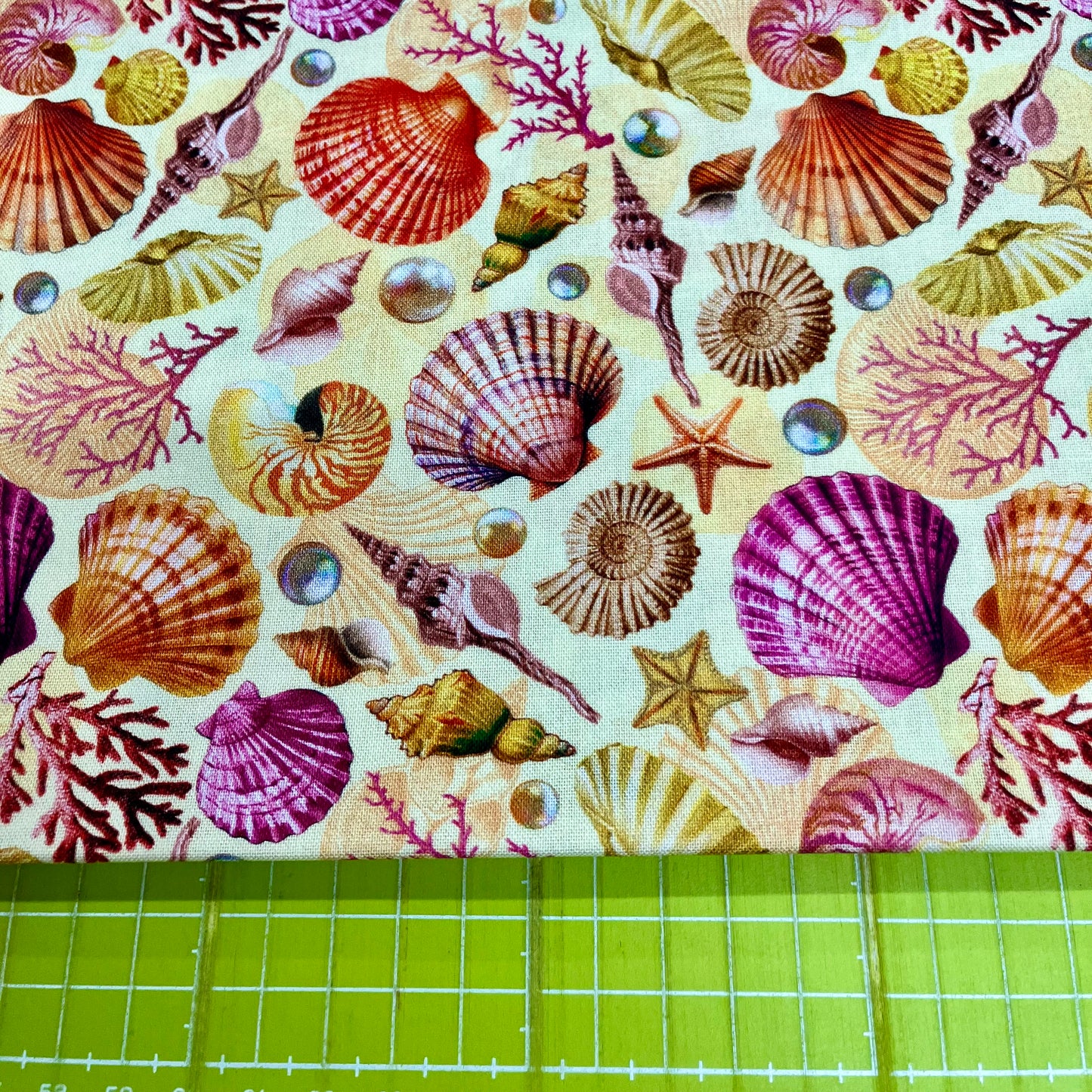 Divine Oceania -Shells - Butter
