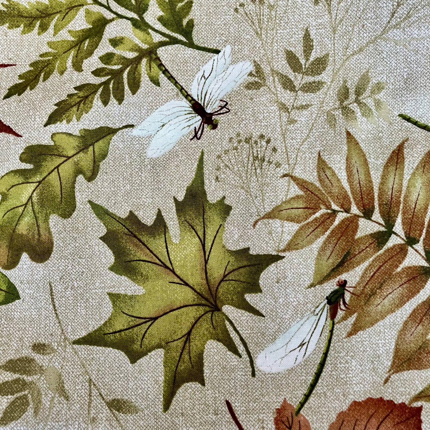 Natural Elements - Ferns and Leaves