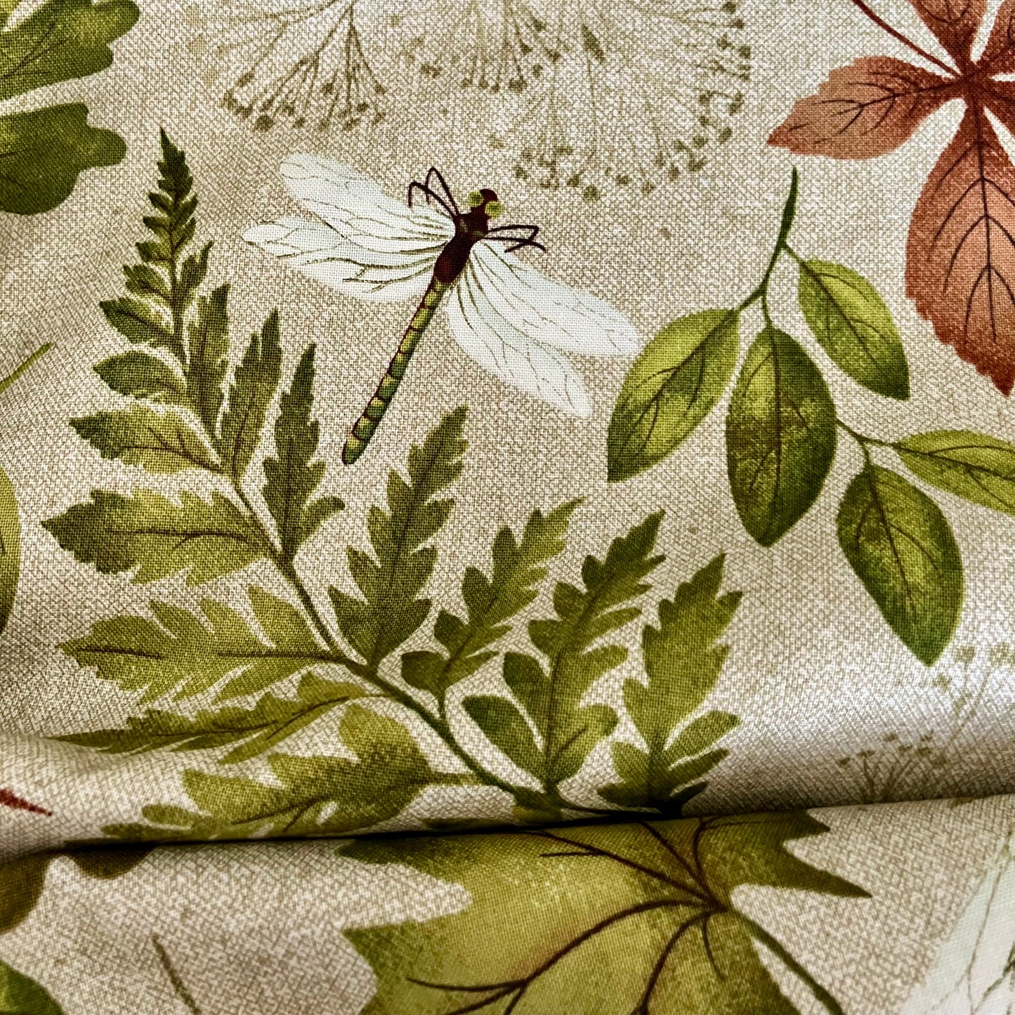 Natural Elements - Ferns and Leaves