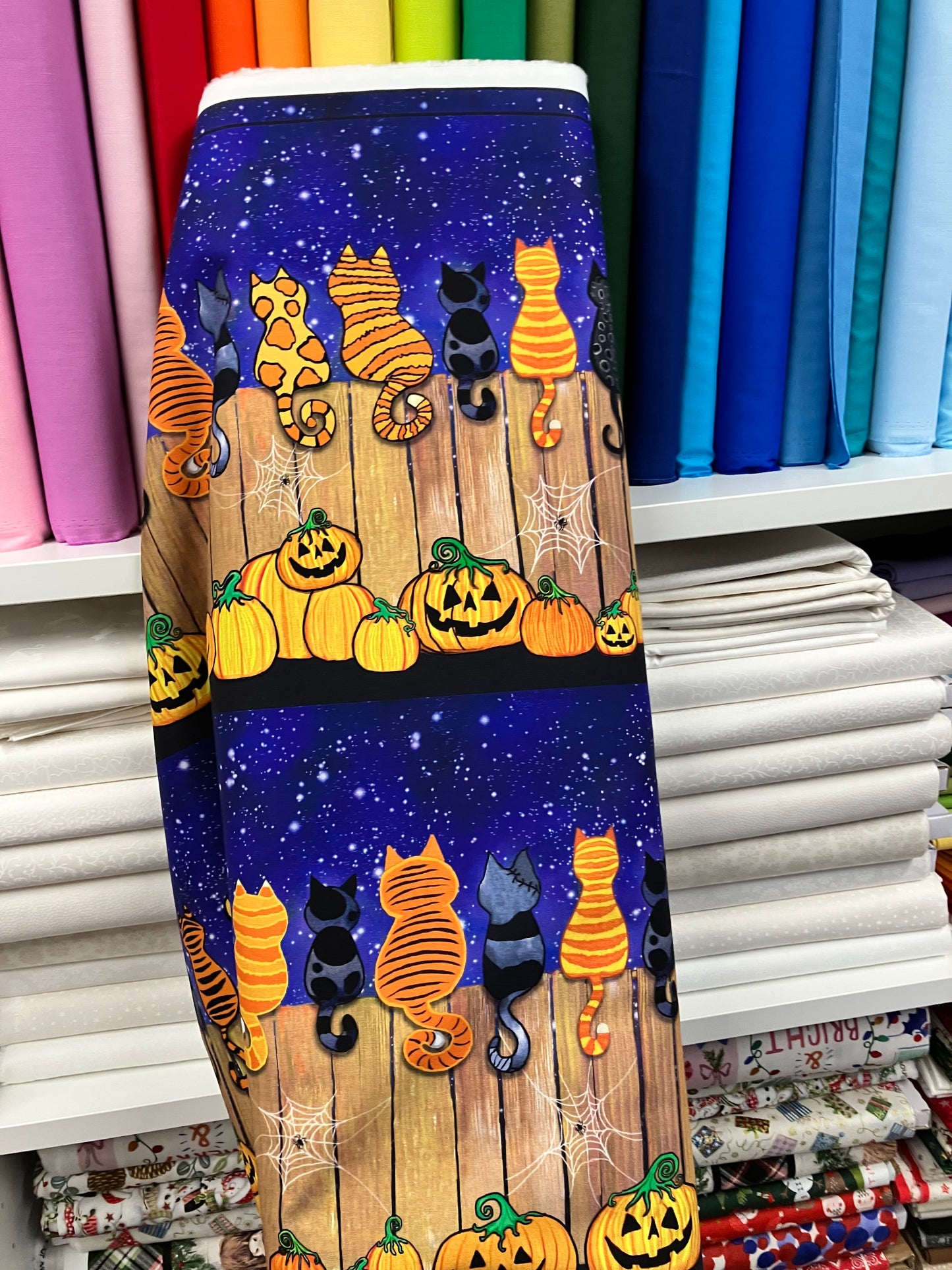 Cats On A Fence