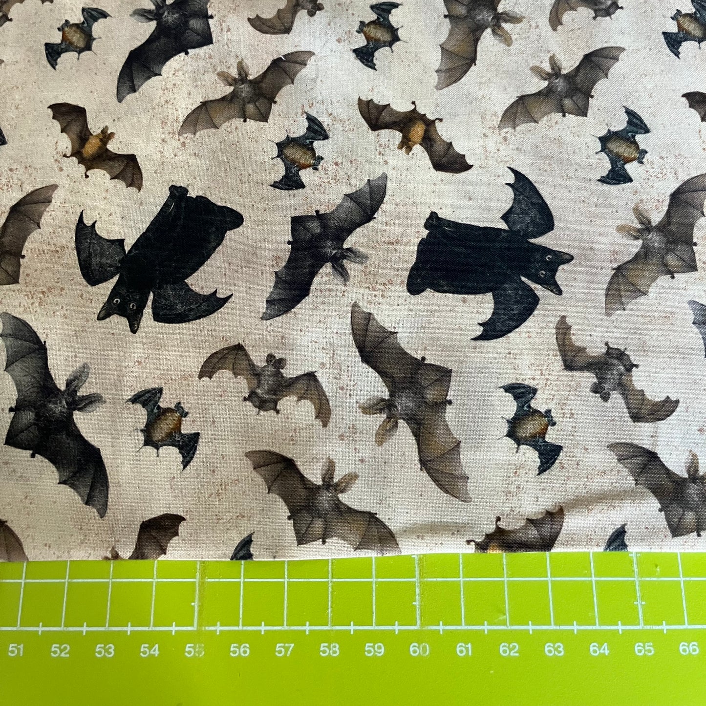 Gothic Halloween - Cats and Bats