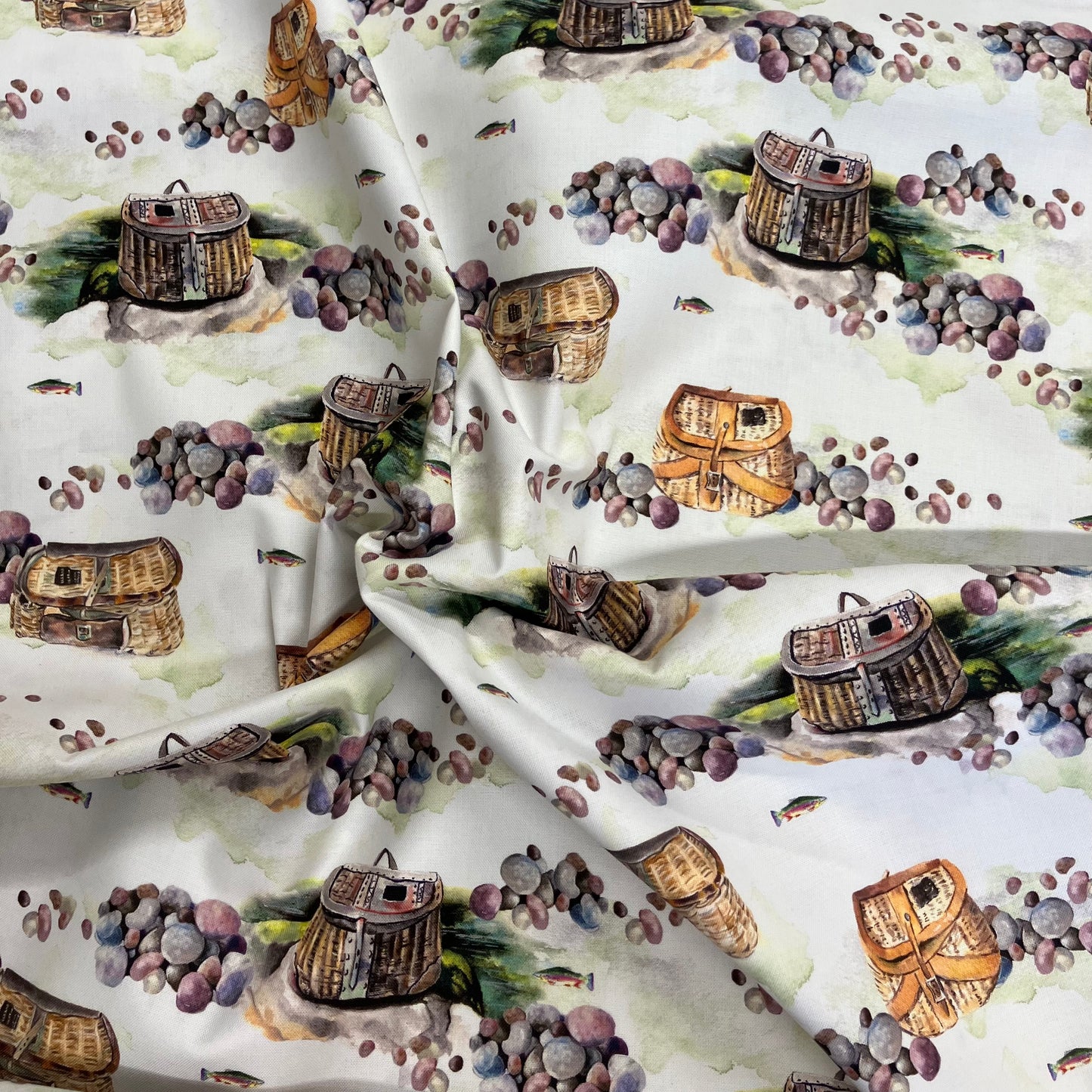 Daily Catch - Fish Day