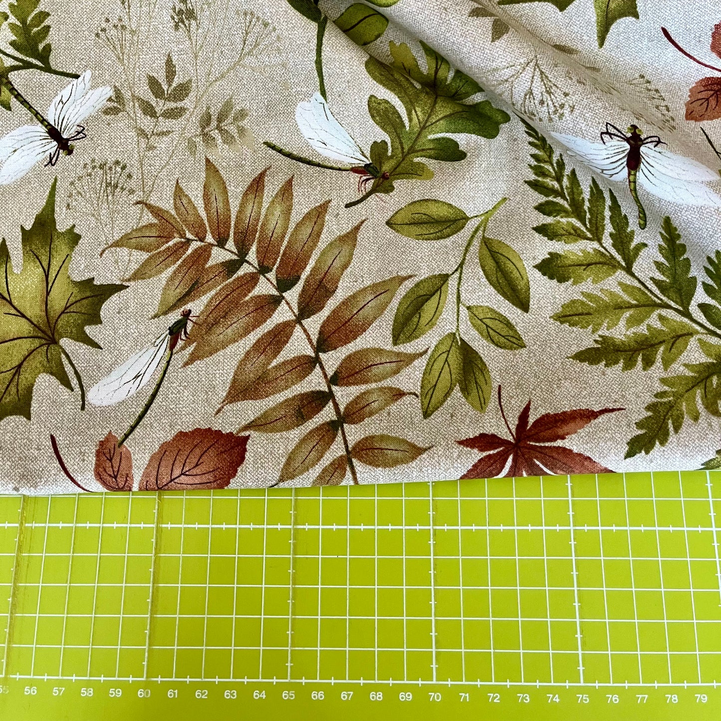Natural Elements - Ferns and Leaves