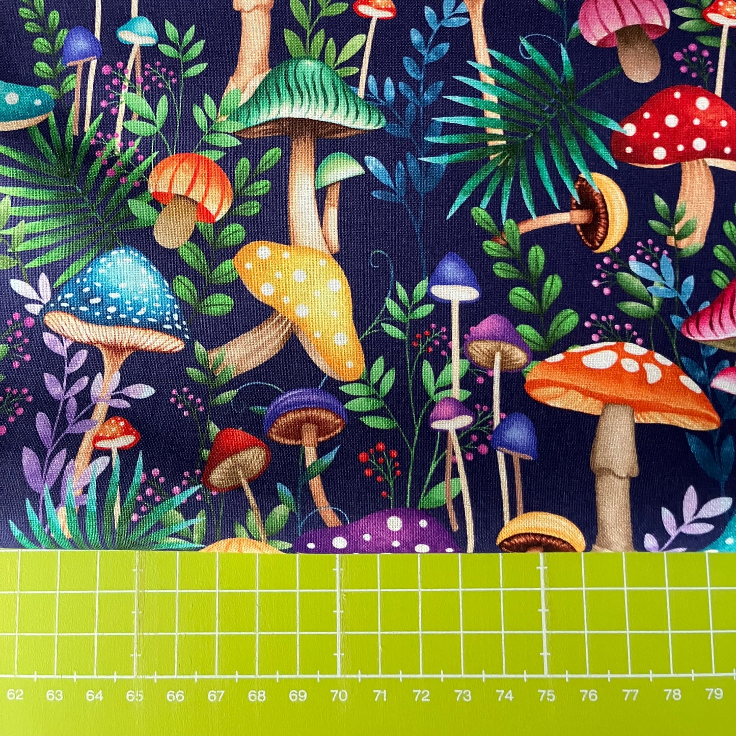 Down The Fairy Path - Toadstools