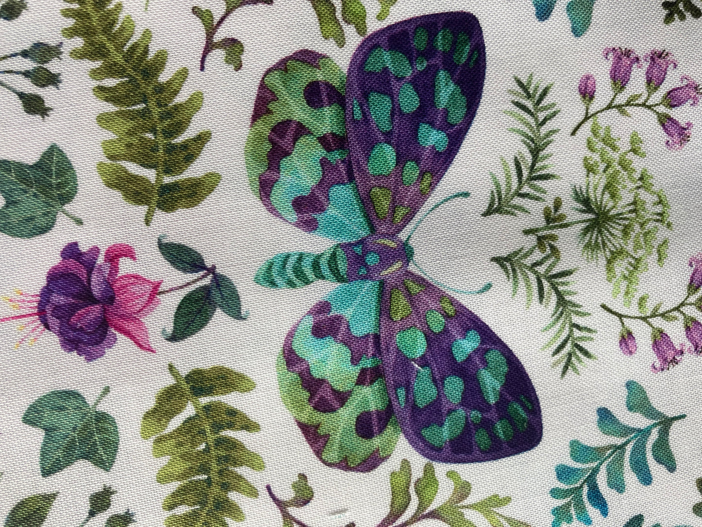 Nightshade - Moths and Flora - white background