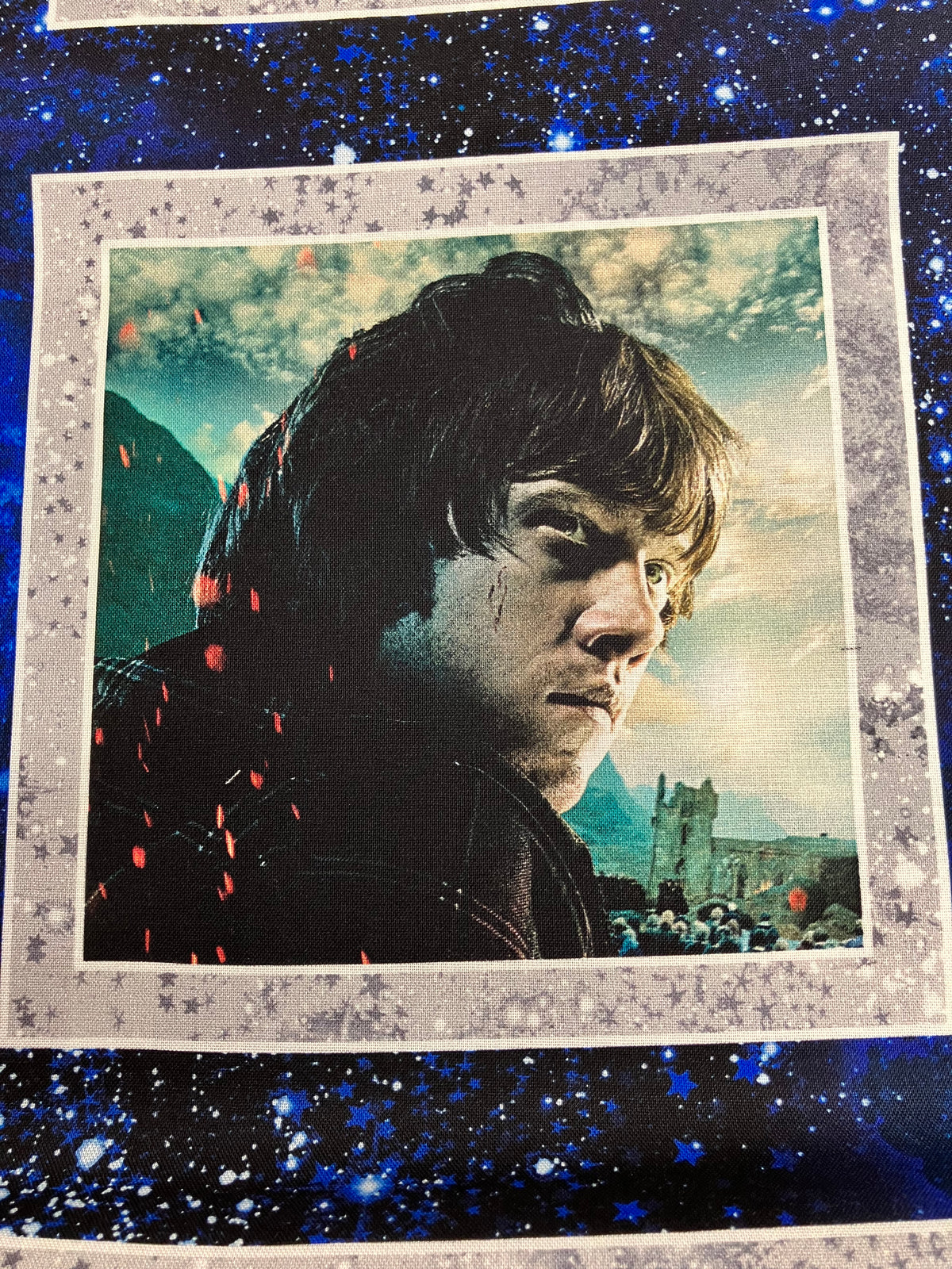 Harry Potter - Cotton Panel
