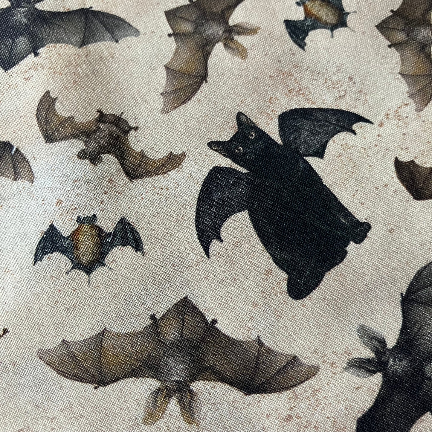 Gothic Halloween - Cats and Bats