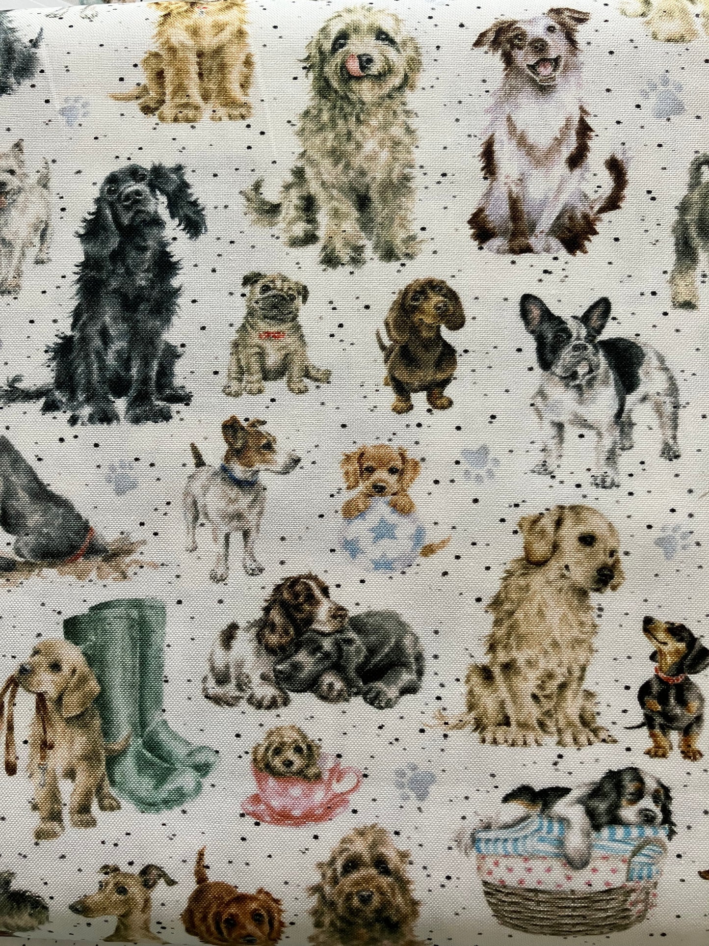 Whiskers and Paws - Dogs