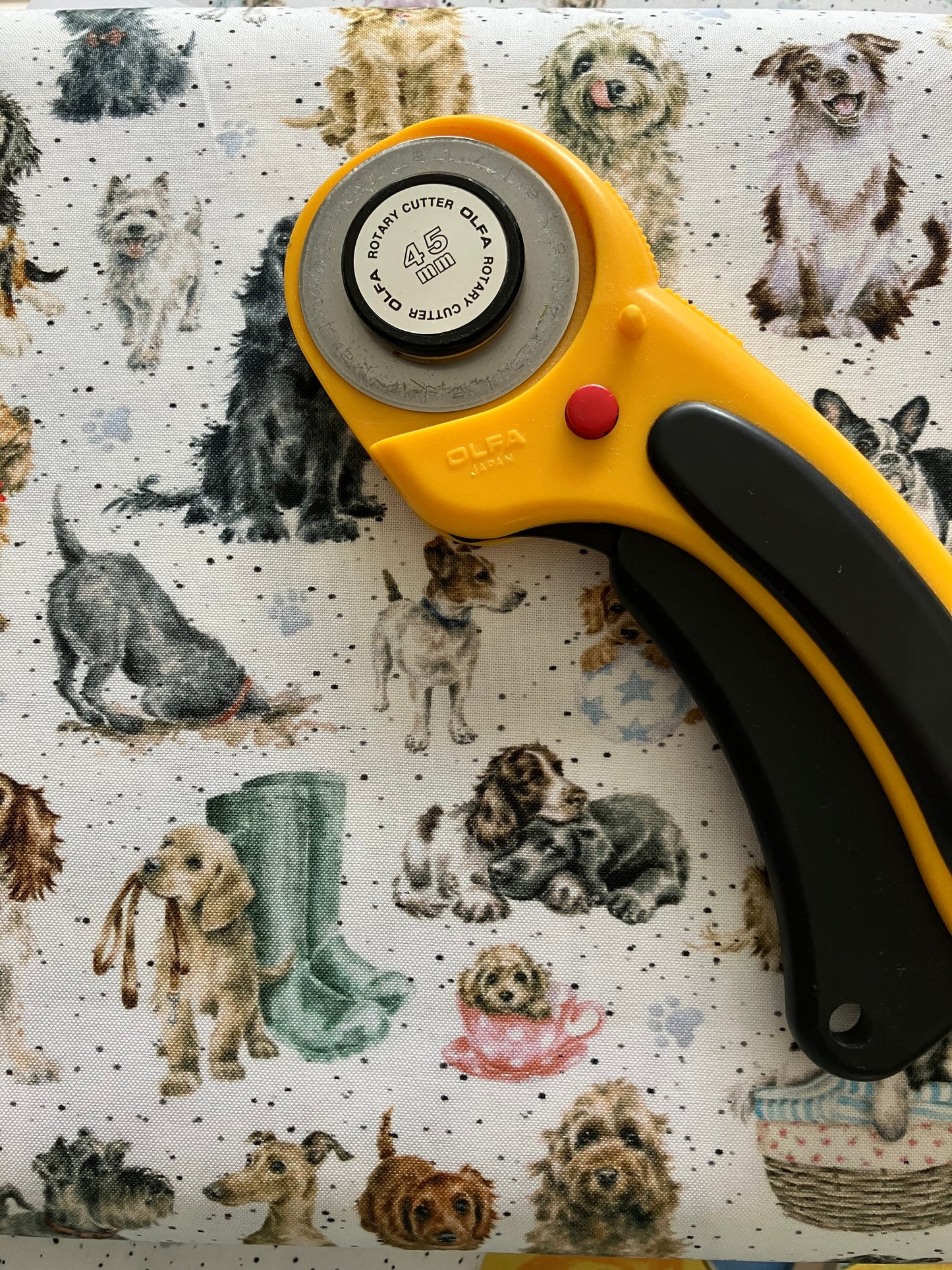 Whiskers and Paws - Dogs