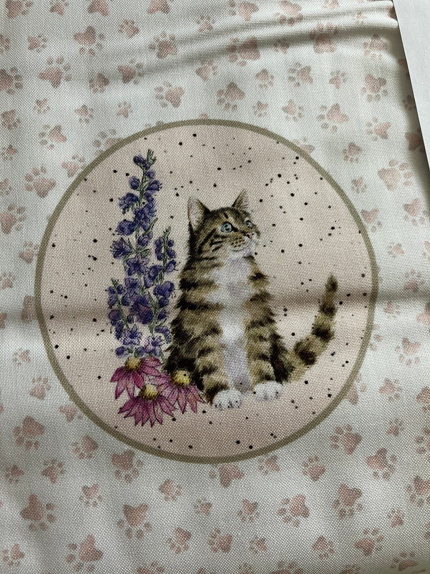 Whiskers and Paws - Cats