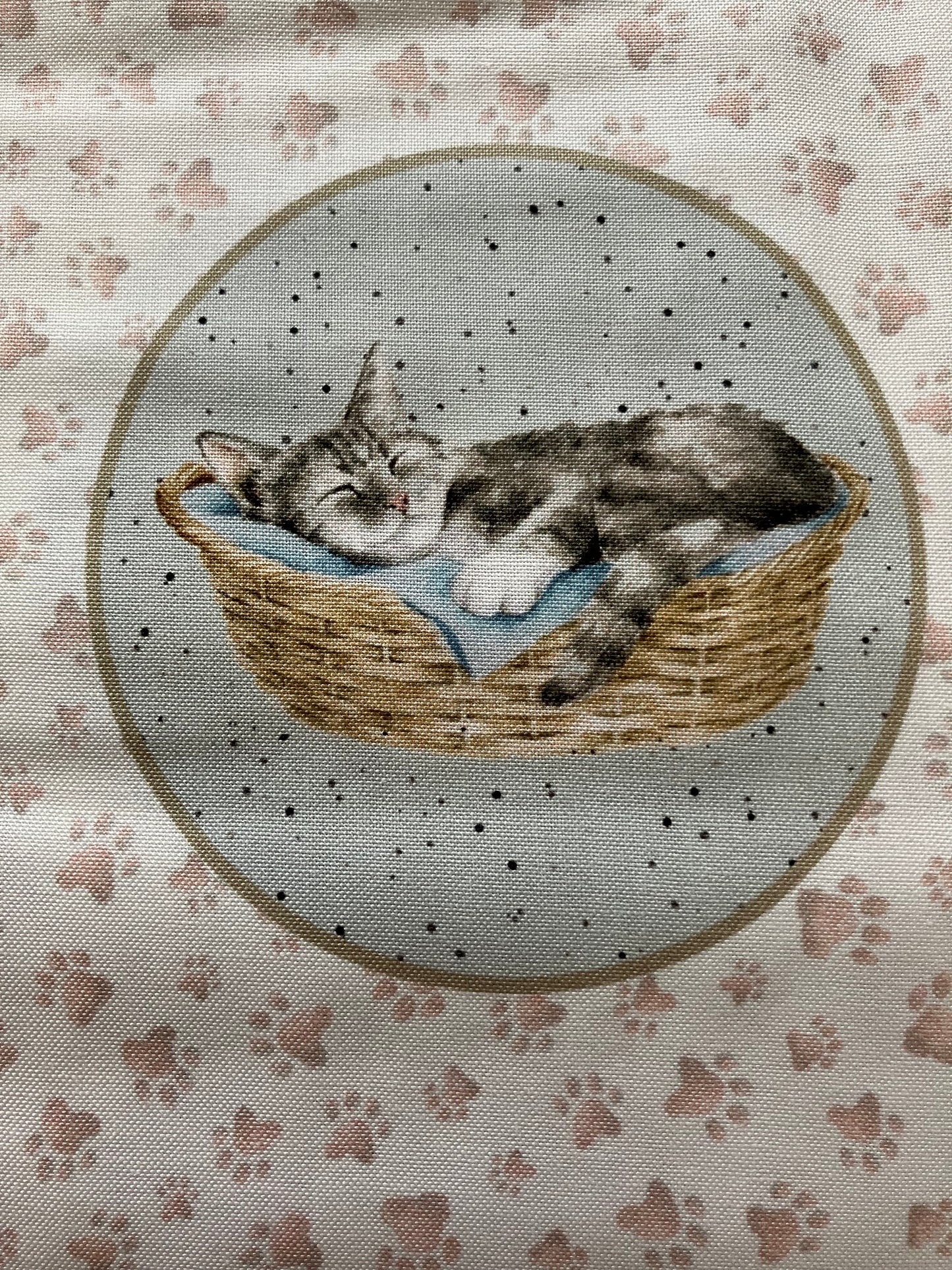 Whiskers and Paws - Cats