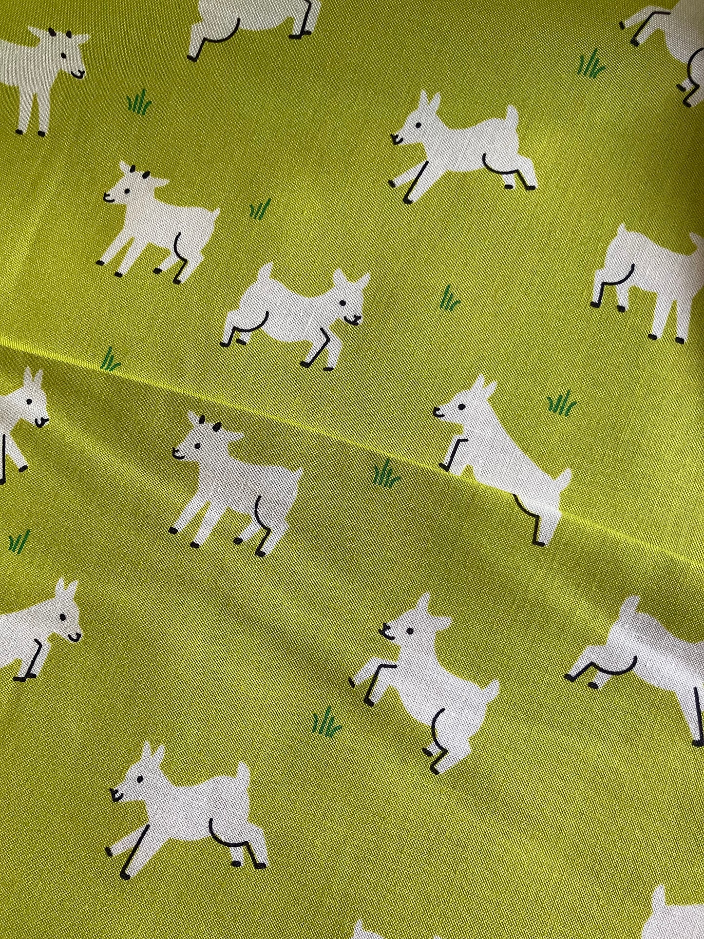 Animal Animal - Goats - Pistachio