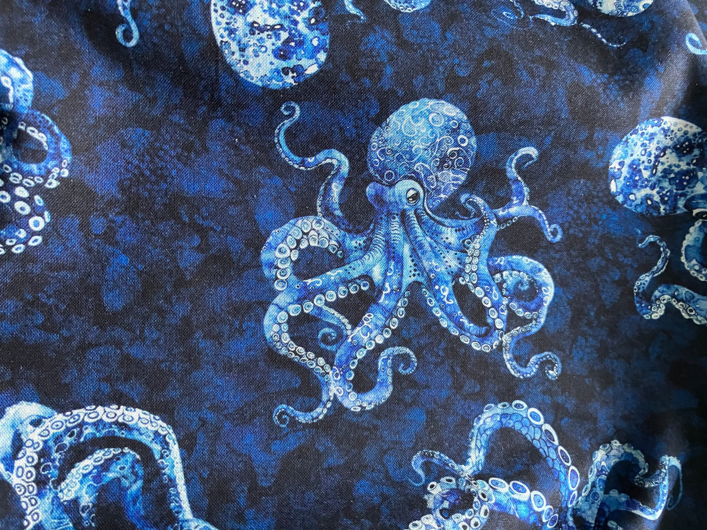 Ocean Blues - Octopus