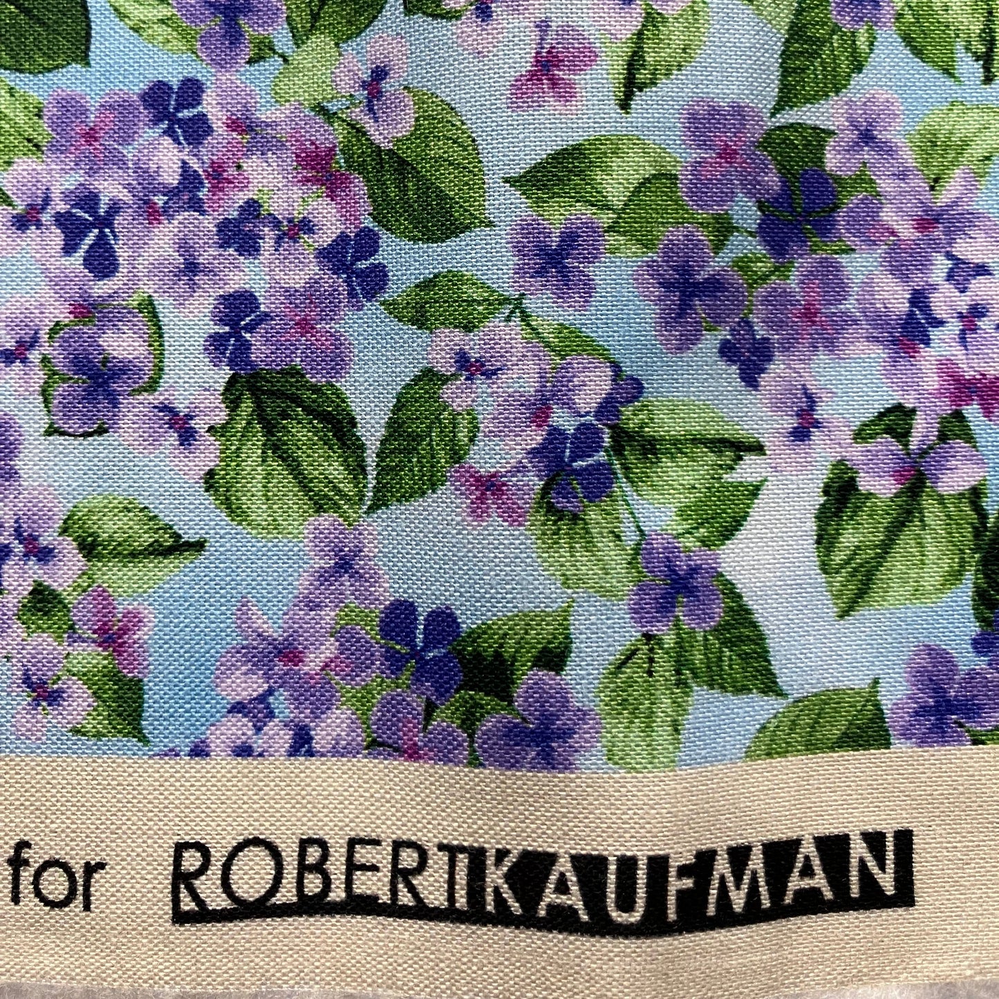 Hydrangea Grace - Sky