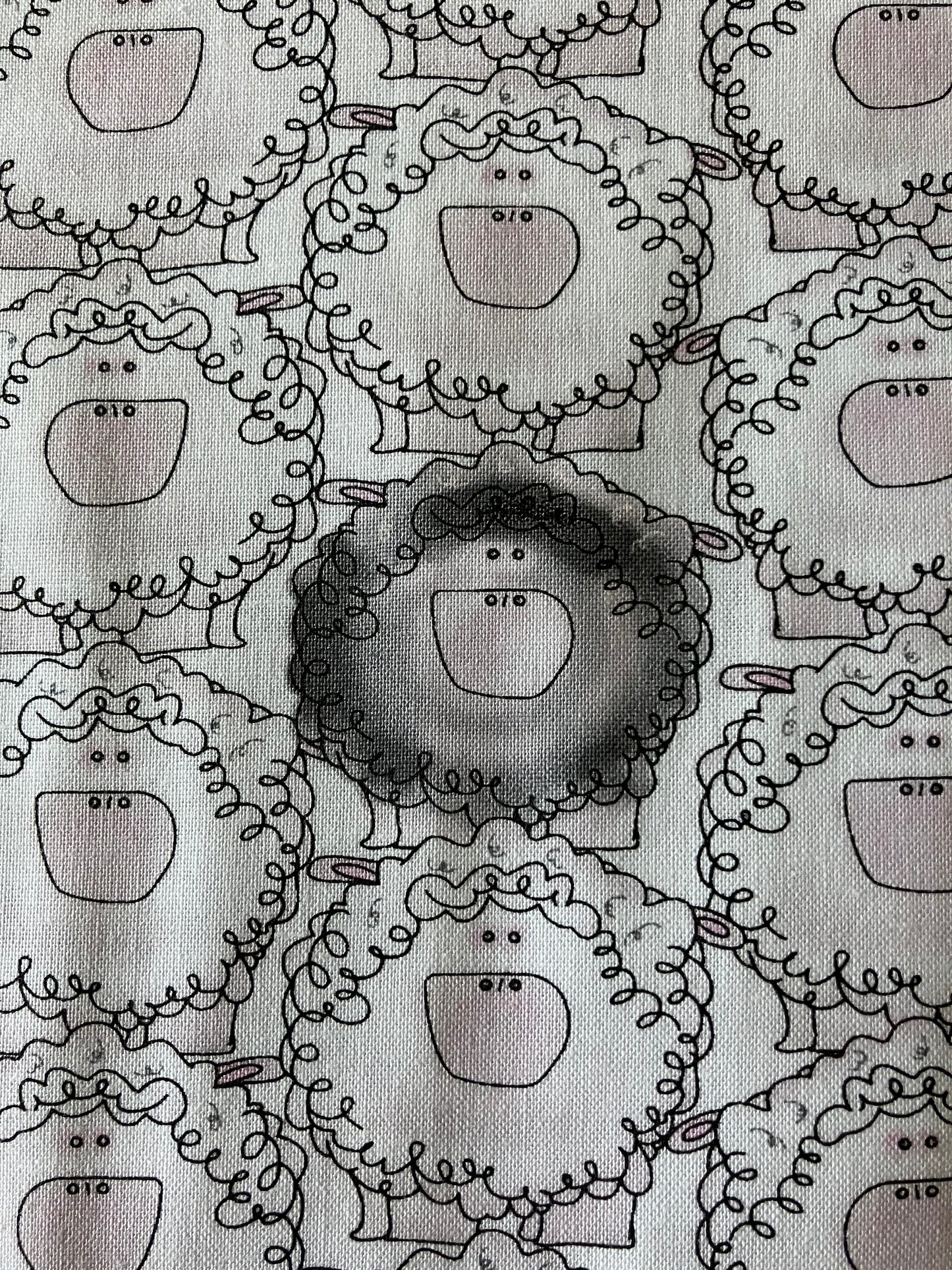 A Trip To The Farm - Sheep