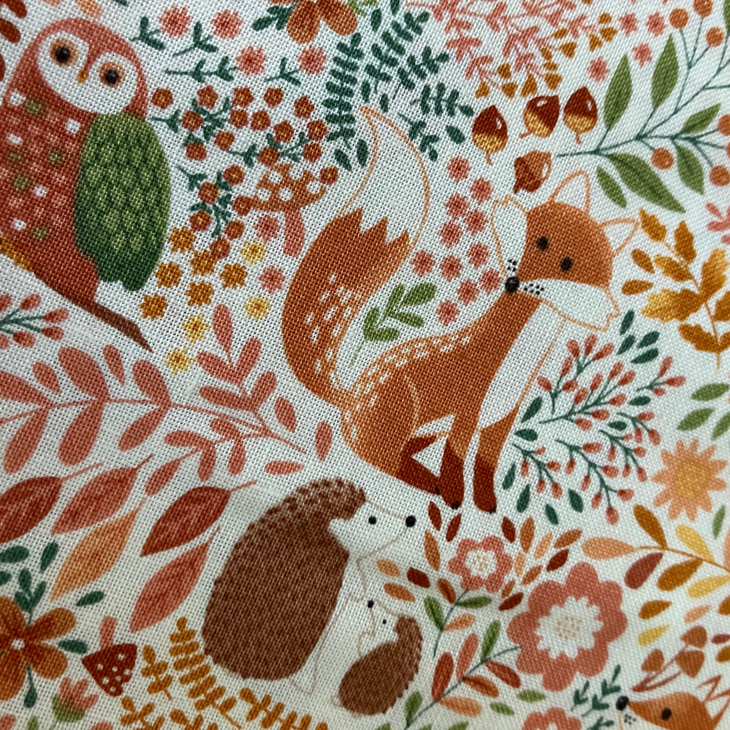 Hello Autumn - Wild Wood - Cream