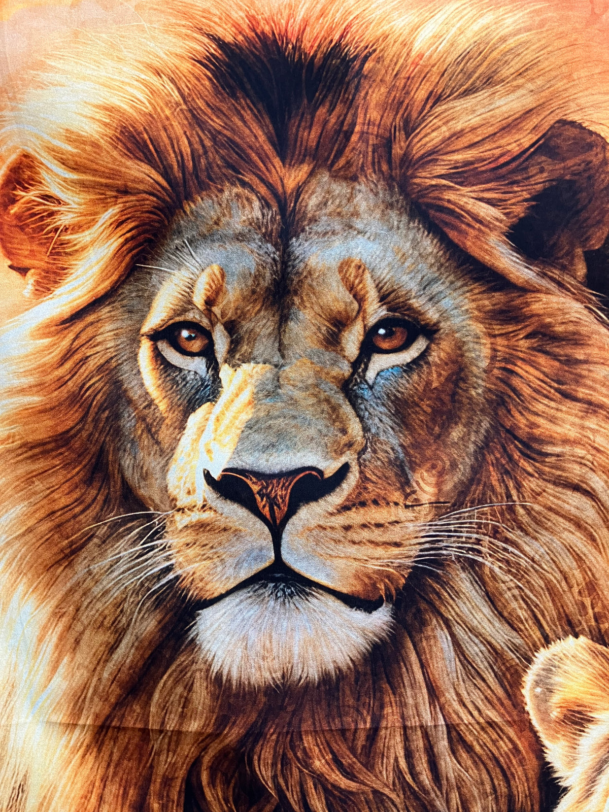 Roar Of The Pride - Cotton Panel