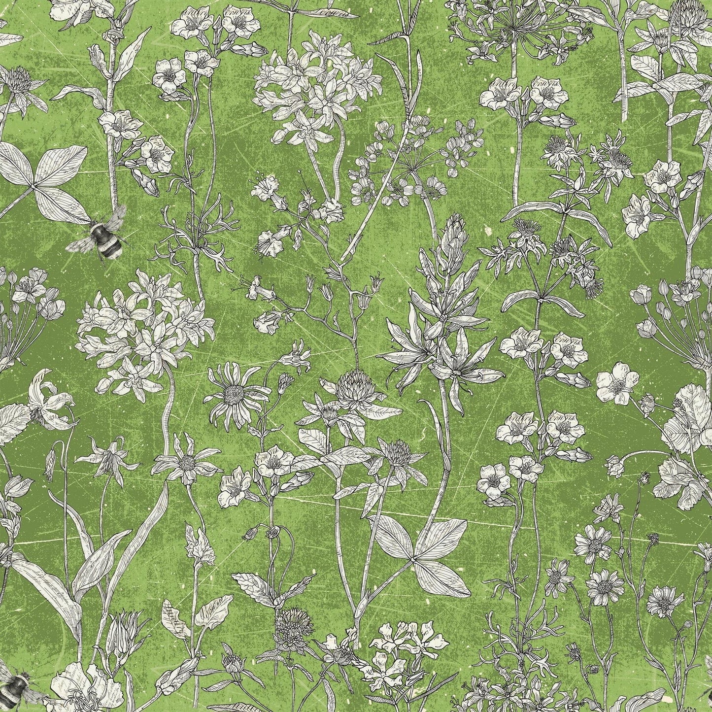 Flower Collage - Flower Sketch - Green