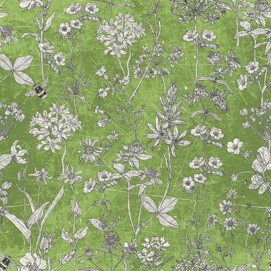 Flower Collage - Flower Sketch - Green