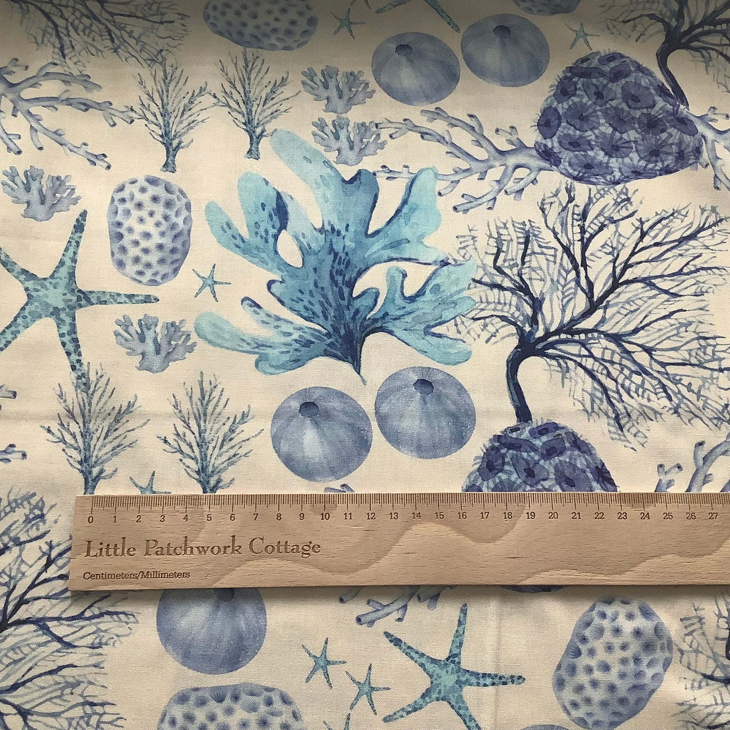 Seaside Swim - Shell Reef