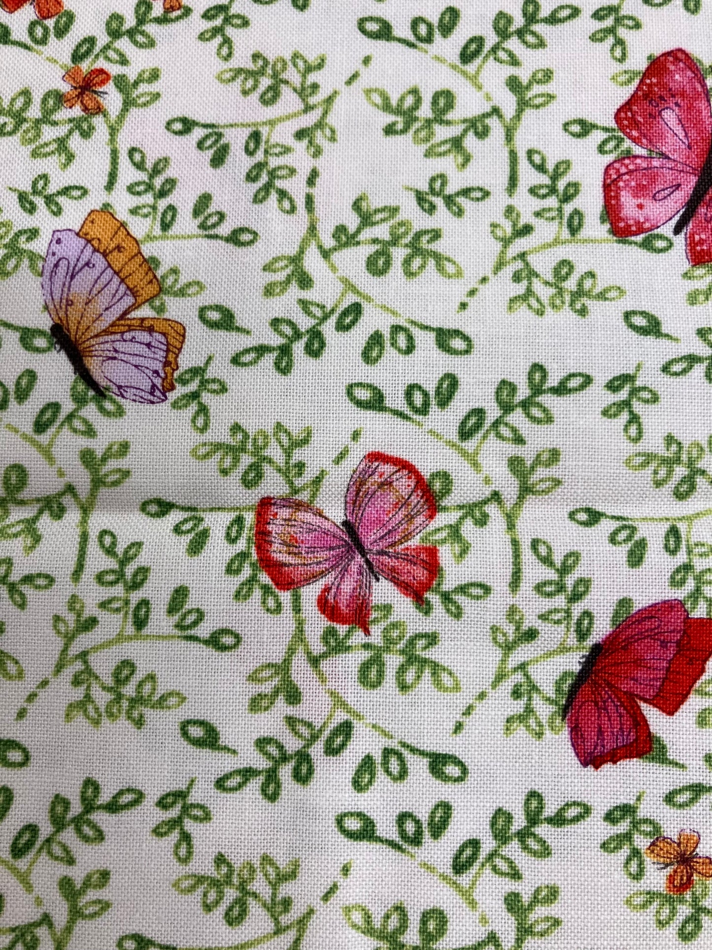 Superbloom - Butterflies - Cream