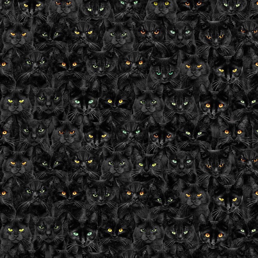 Wicked - Black Cats Magic