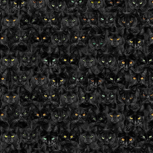 Wicked - Black Cats Magic
