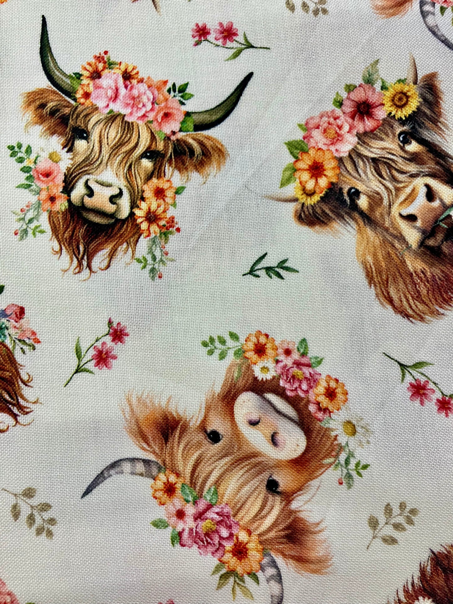 Tossed Highland Cow