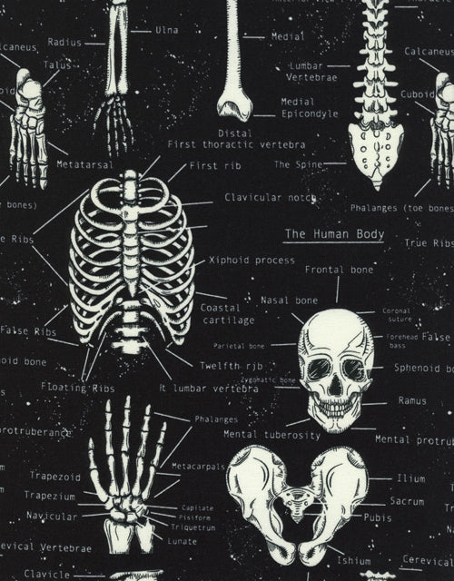 Glow In The Dark - Skeletons