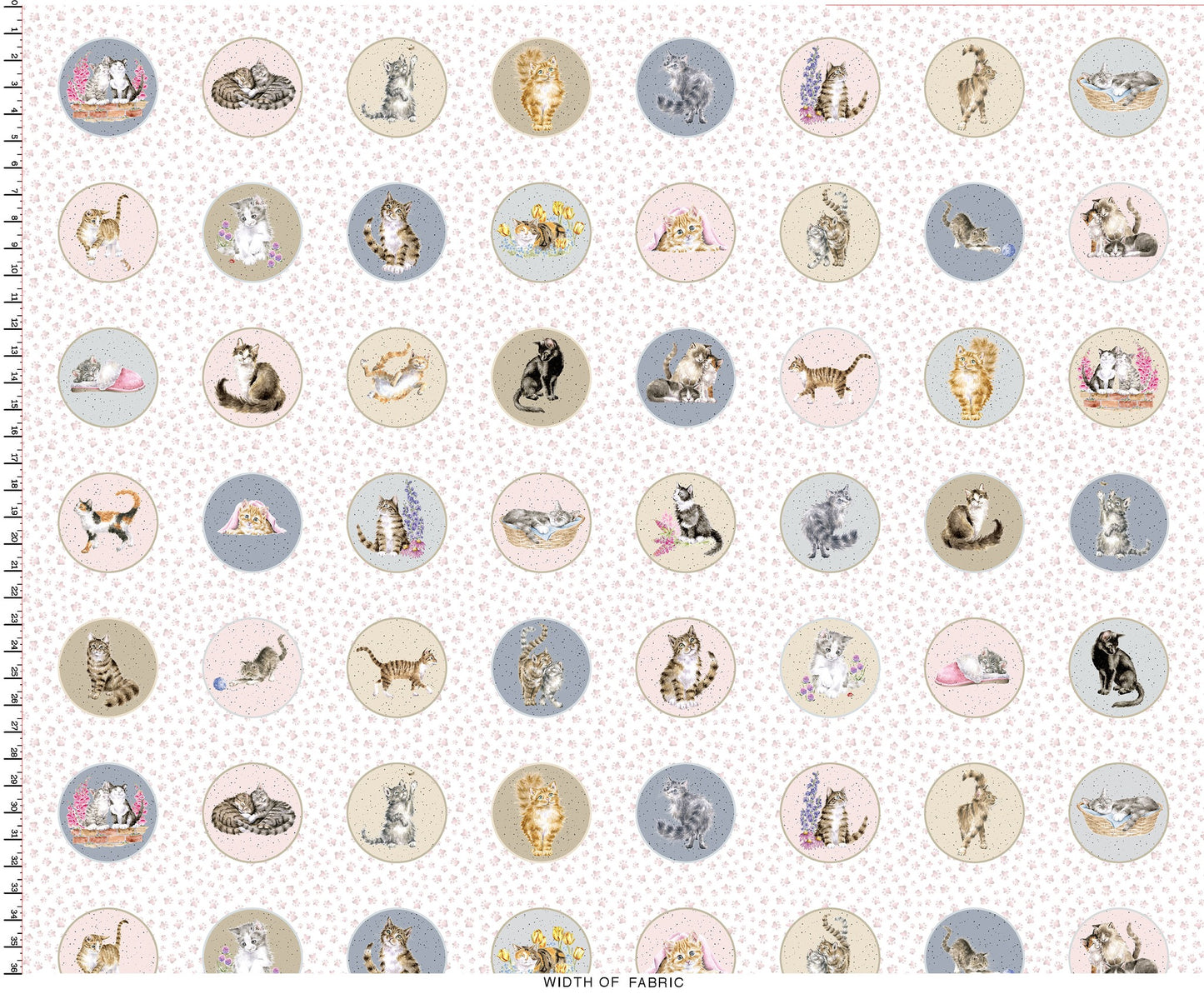 Whiskers and Paws - Cats