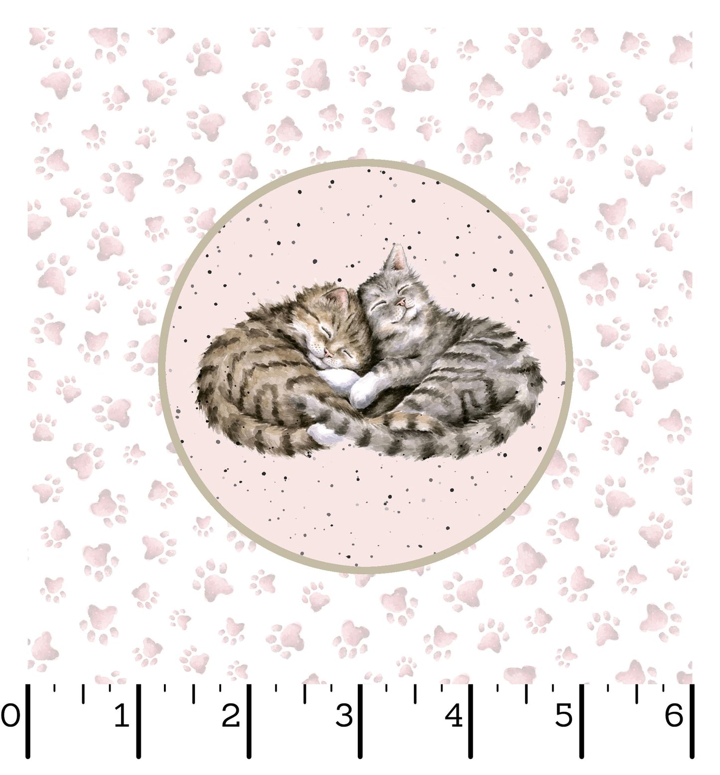 Whiskers and Paws - Cats