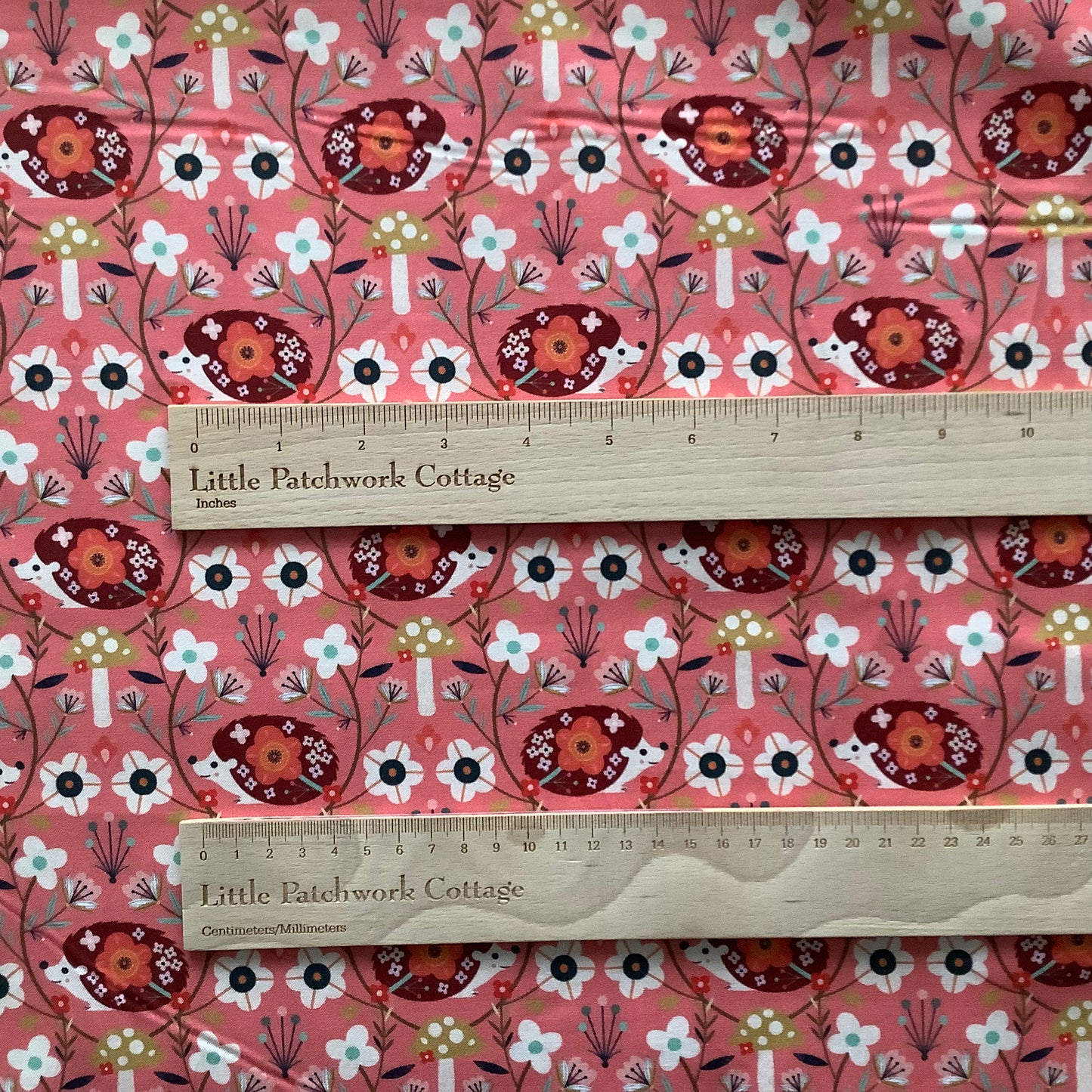 Animal Magic - Hedgehogs