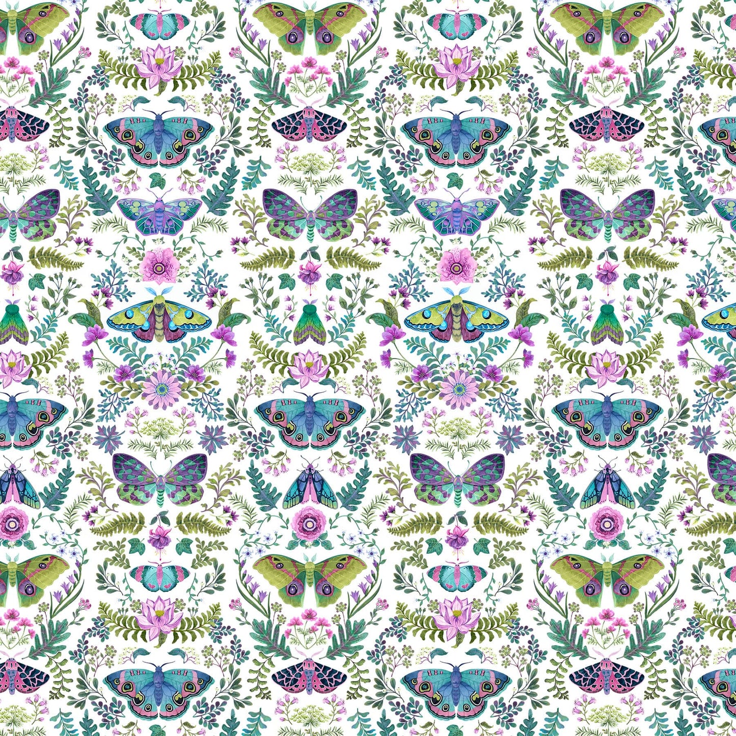 Nightshade - Moths and Flora - white background