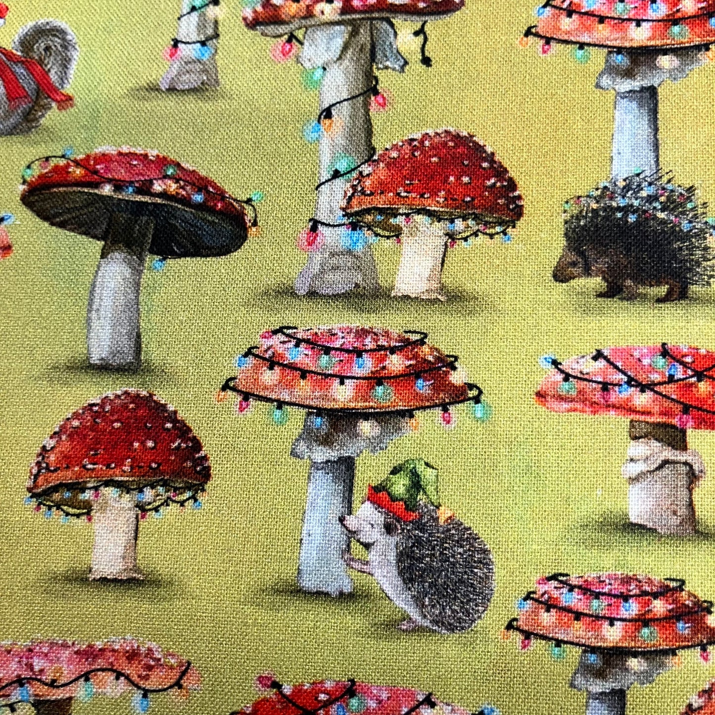 Festive Toadstools