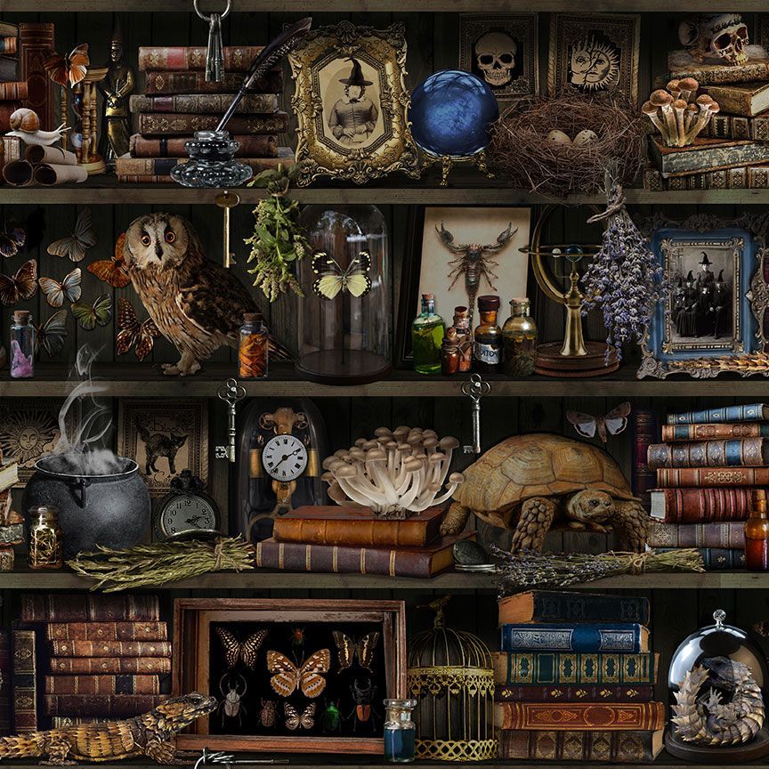 Witch Apothecary Book Shelf