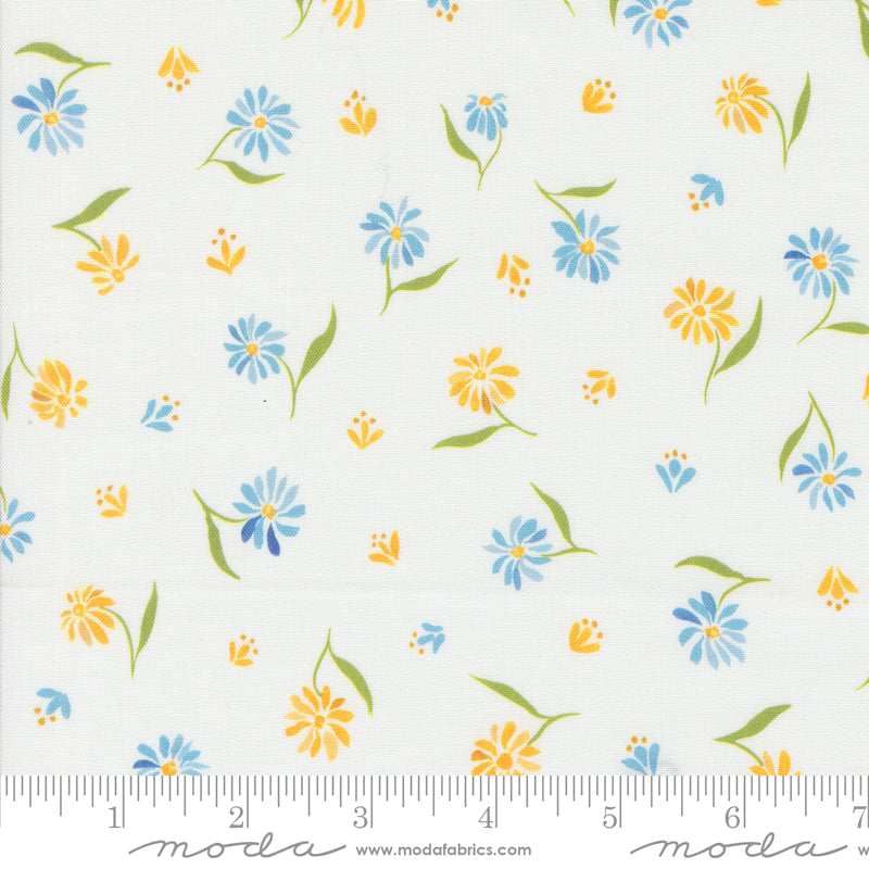 Sunshine and Blue Skies - Blue and Yellow Daisies