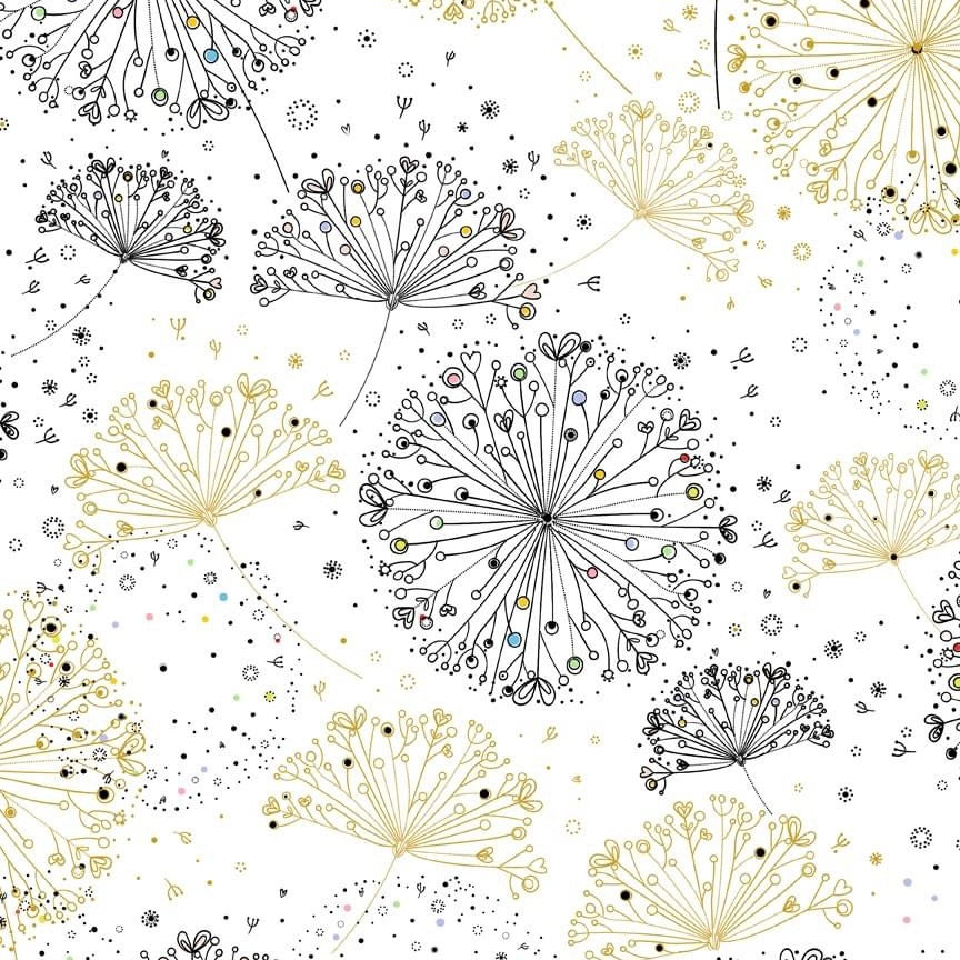 Dandelion Wishes - Dandelions on White