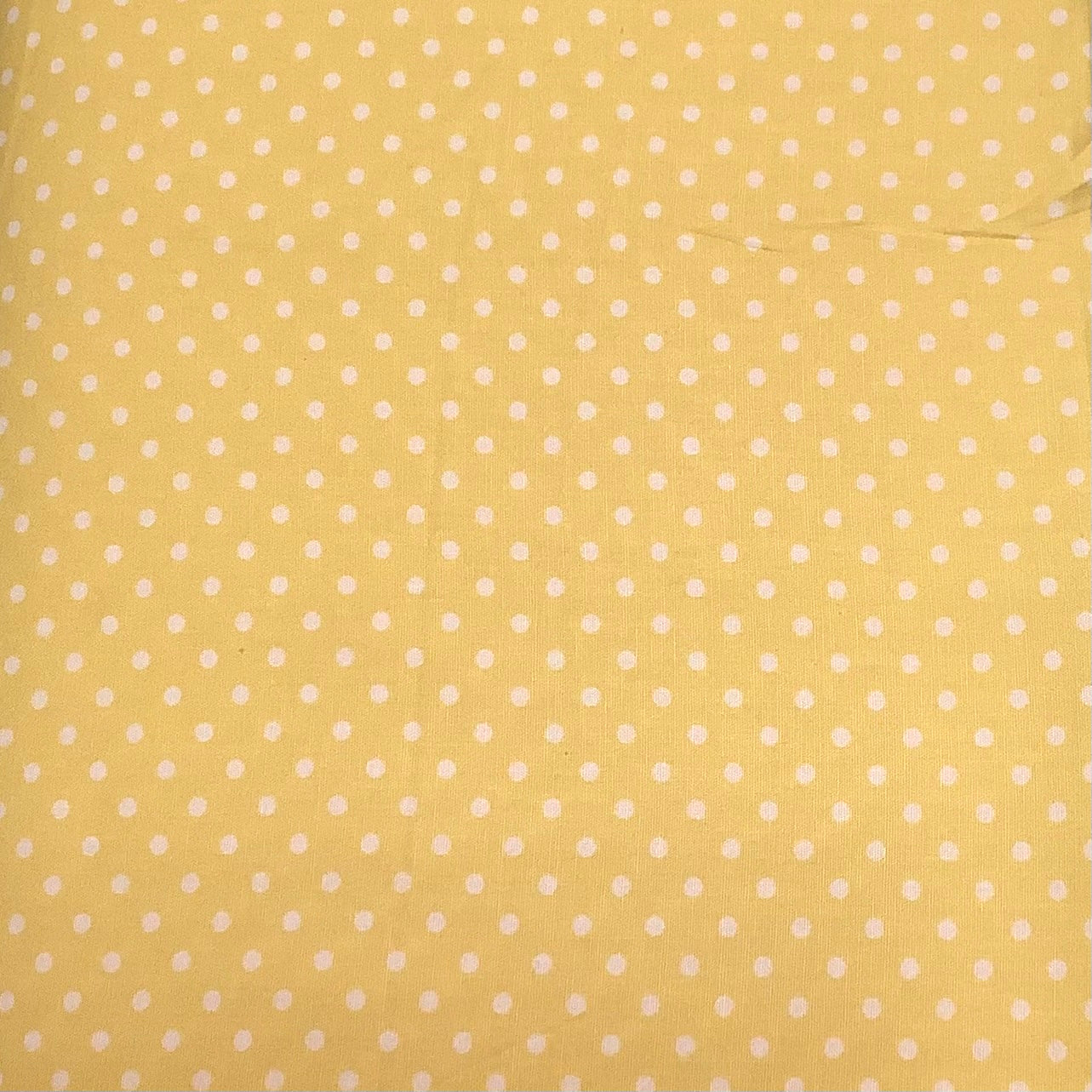 Lemon Polka Dot
