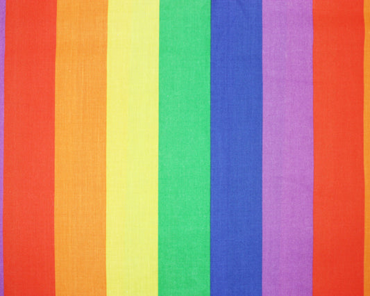 Rainbow Stripe - Large