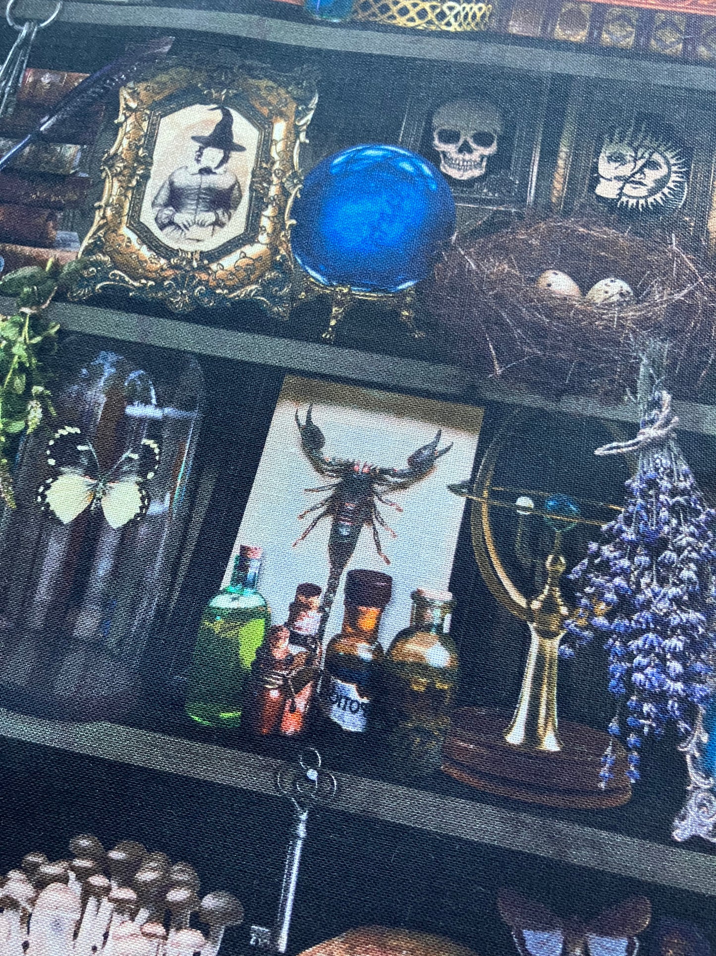 Witch Apothecary Book Shelf