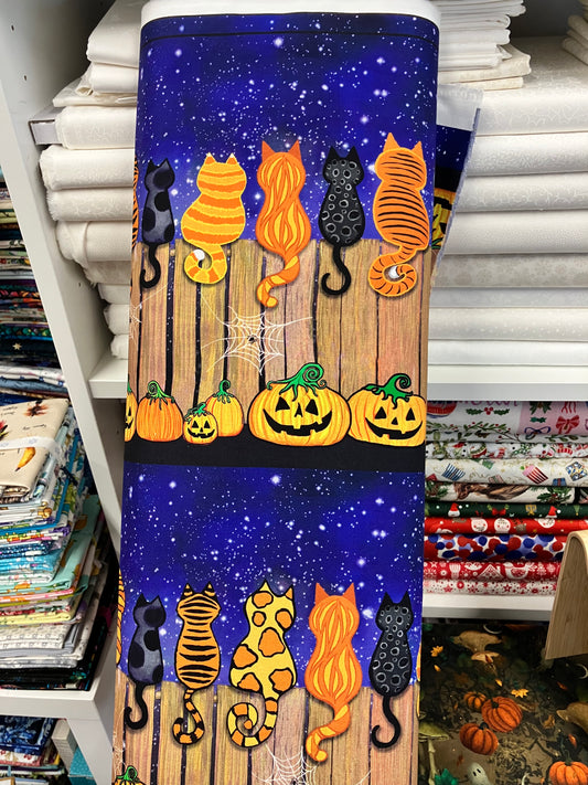 Spooky Cats On A Fence