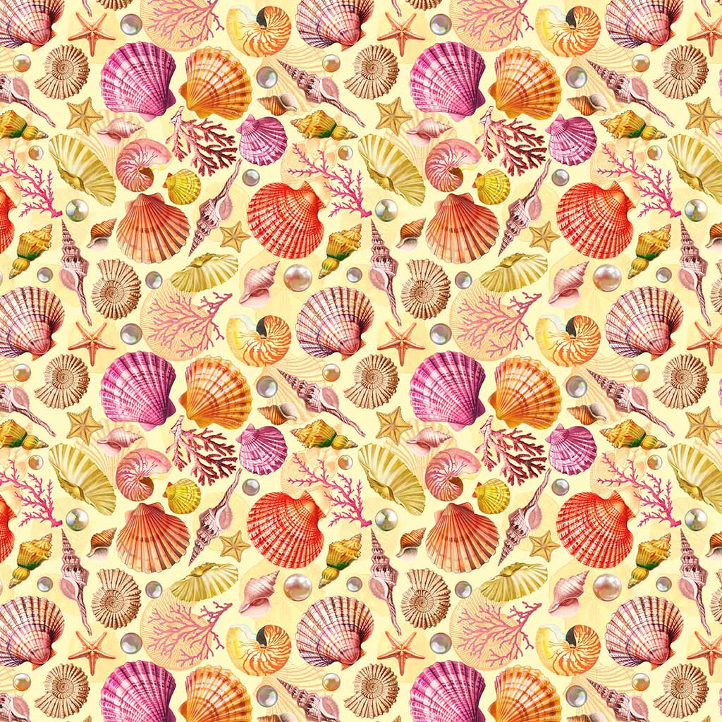 Divine Oceania -Shells - Butter