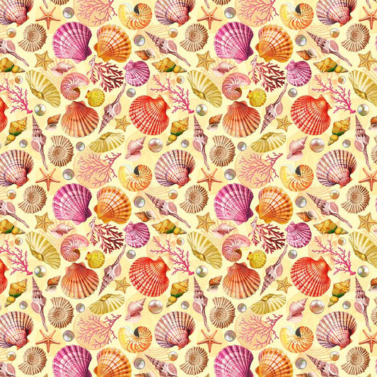 Divine Oceania -Shells - Butter