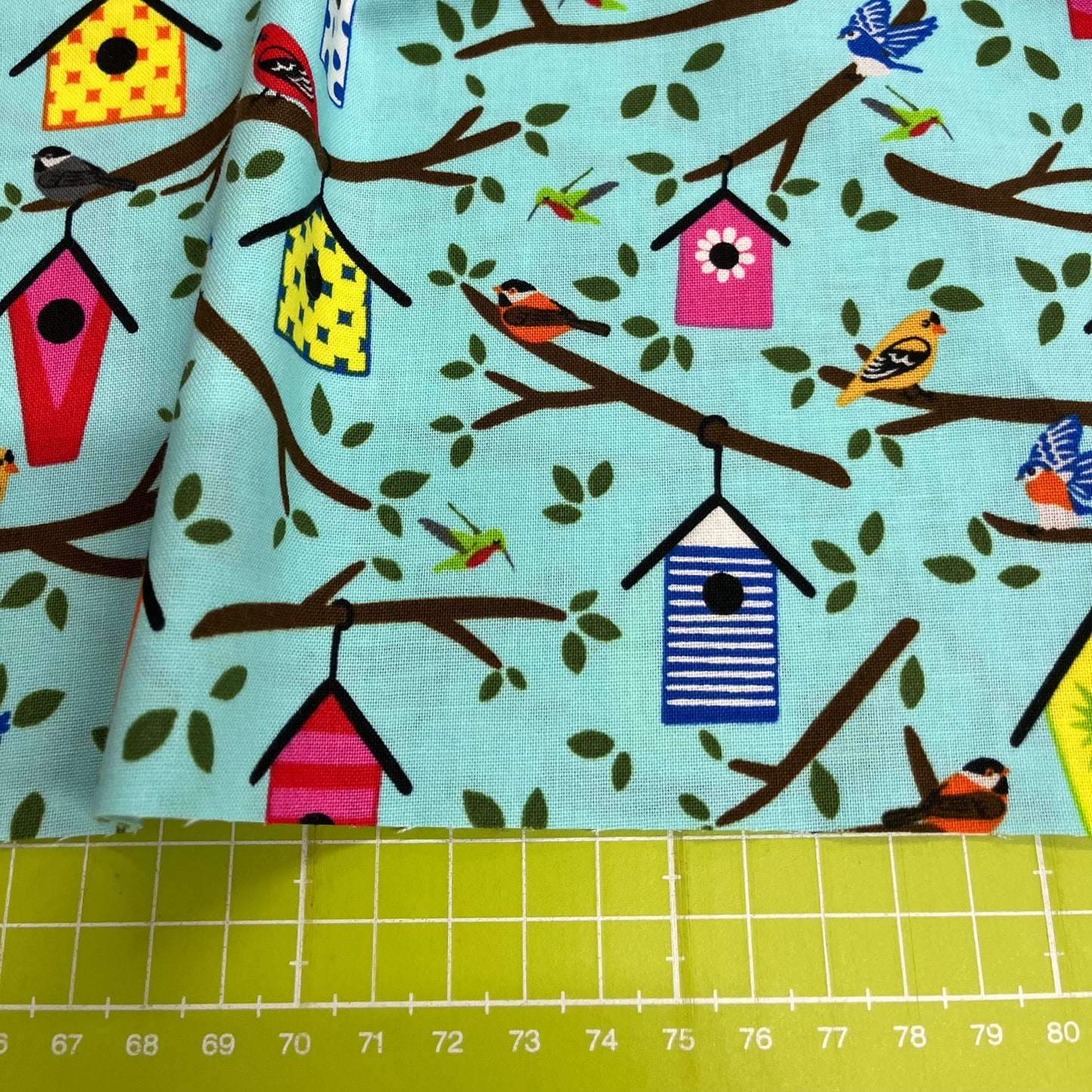 Backyard Birdwatching - Bird Boxes