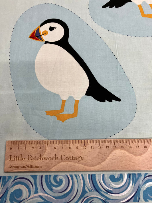 Where The Sky Dances Cushion Panel