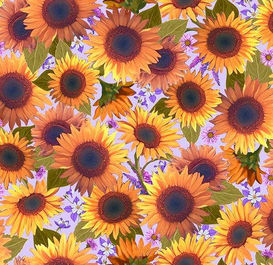 The Mountains Are Calling - Sunflowers