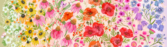 Superbloom - Ombre Pastel