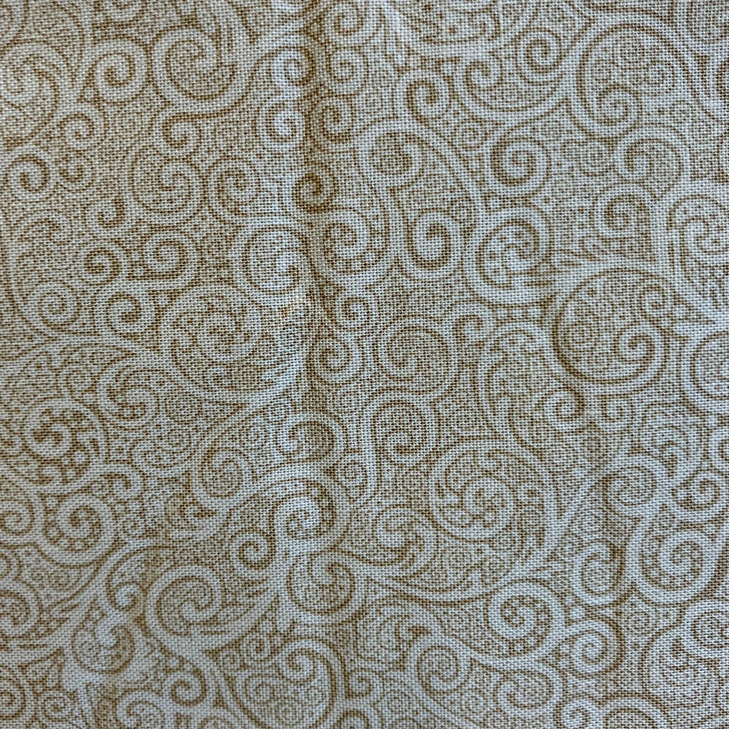 Kindred - Scroll - Cream